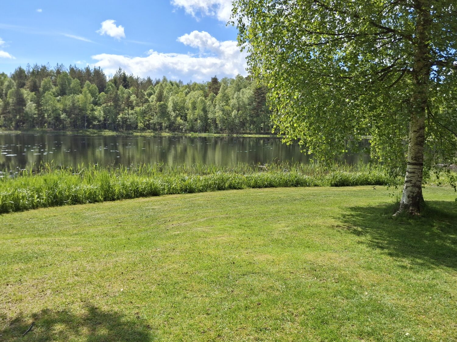 Tjärnen vid Solliden